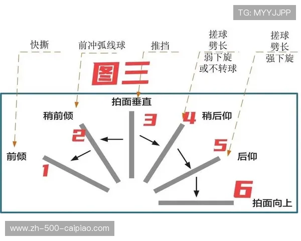 以标准球为中心探讨运动科学原理及其在不同领域中的应用分析 以标准球为中心探讨运动科学原理及其在不同领域中的应用分析